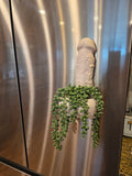 Big Girtha magnetic planter and catch-all with trailing plant