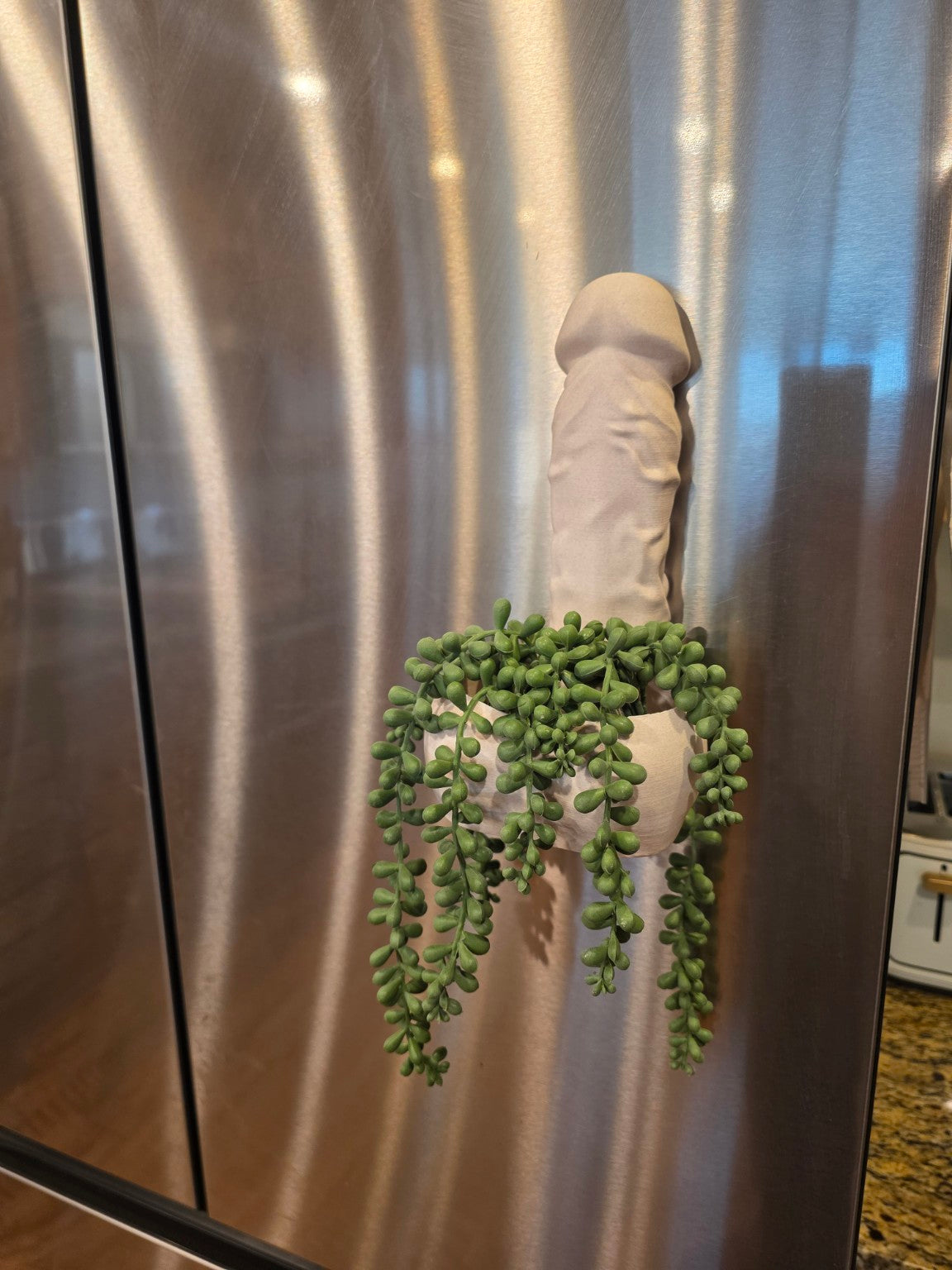 Big Girtha magnetic planter and catch-all with trailing plant