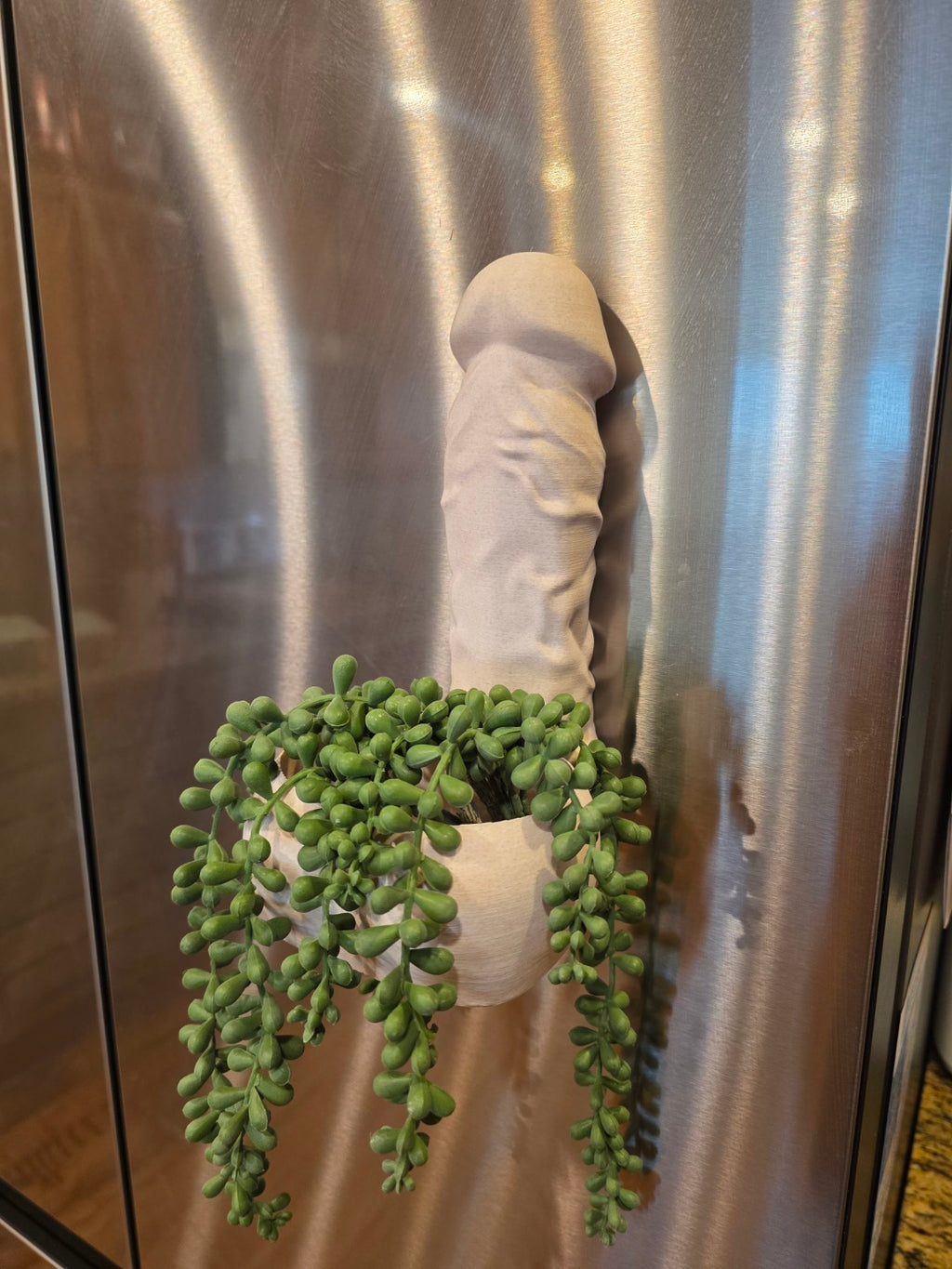 Big Girtha magnetic planter mounted on refrigerator