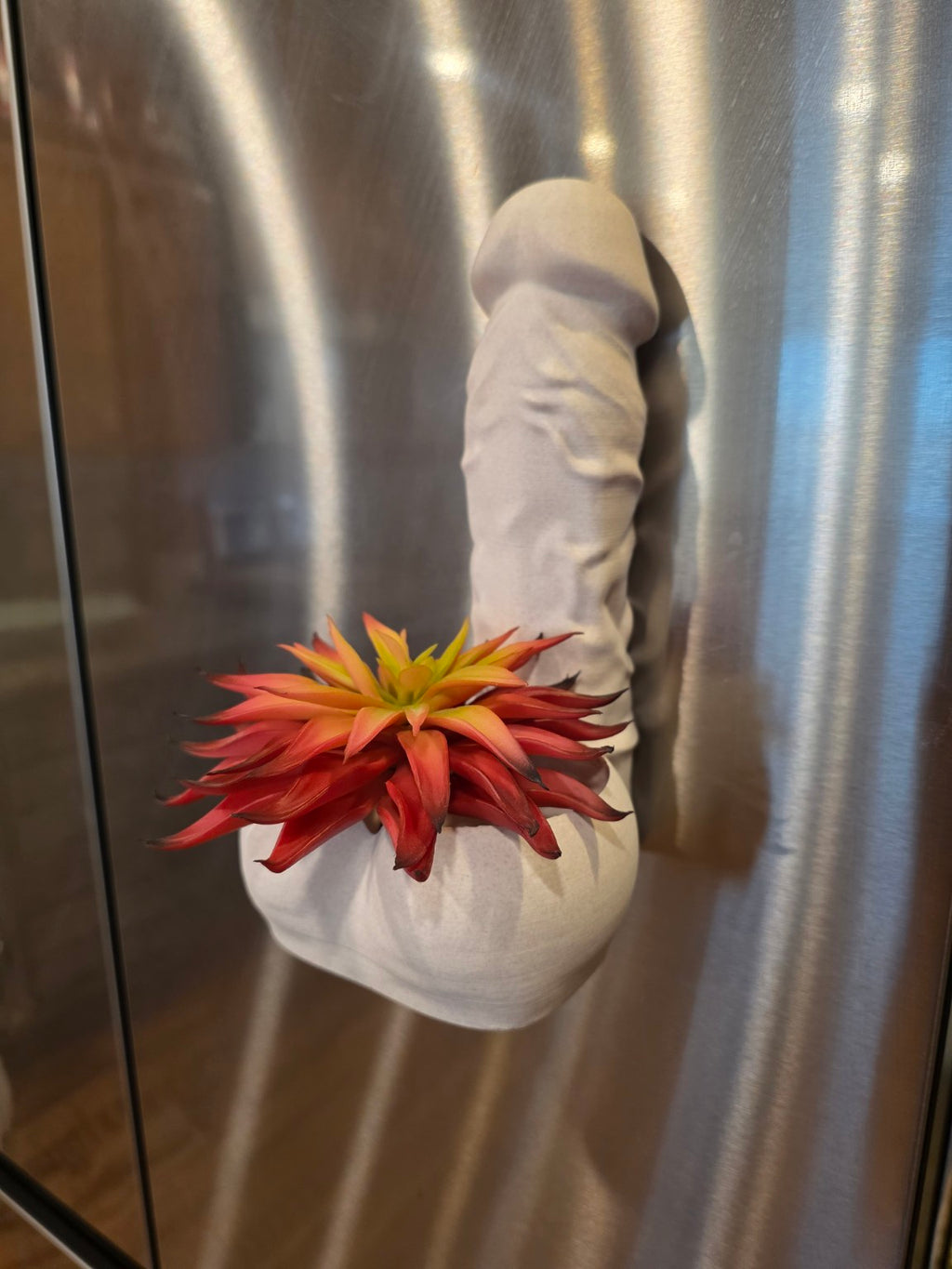 Big Girtha magnetic succulent planter on stainless refrigerator