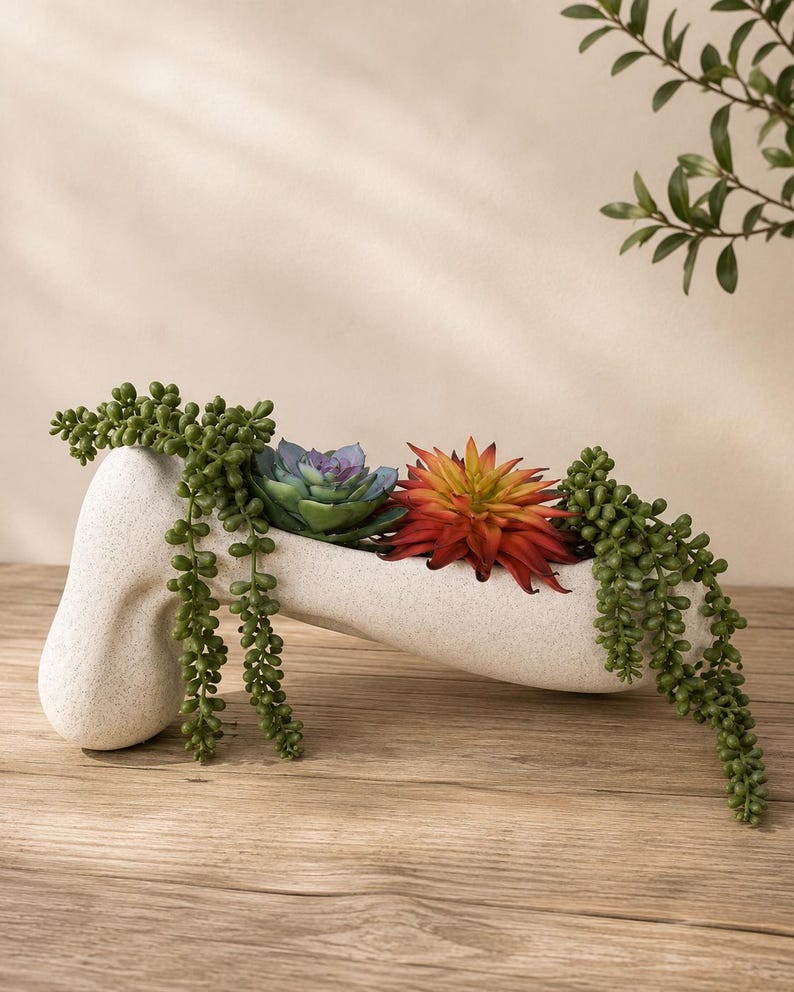Giant horizontal penis planter with trailing succulents
