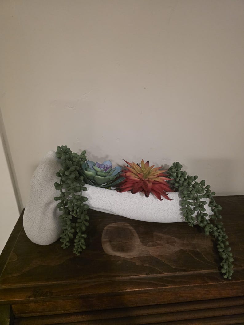 Large novelty planter with succulents