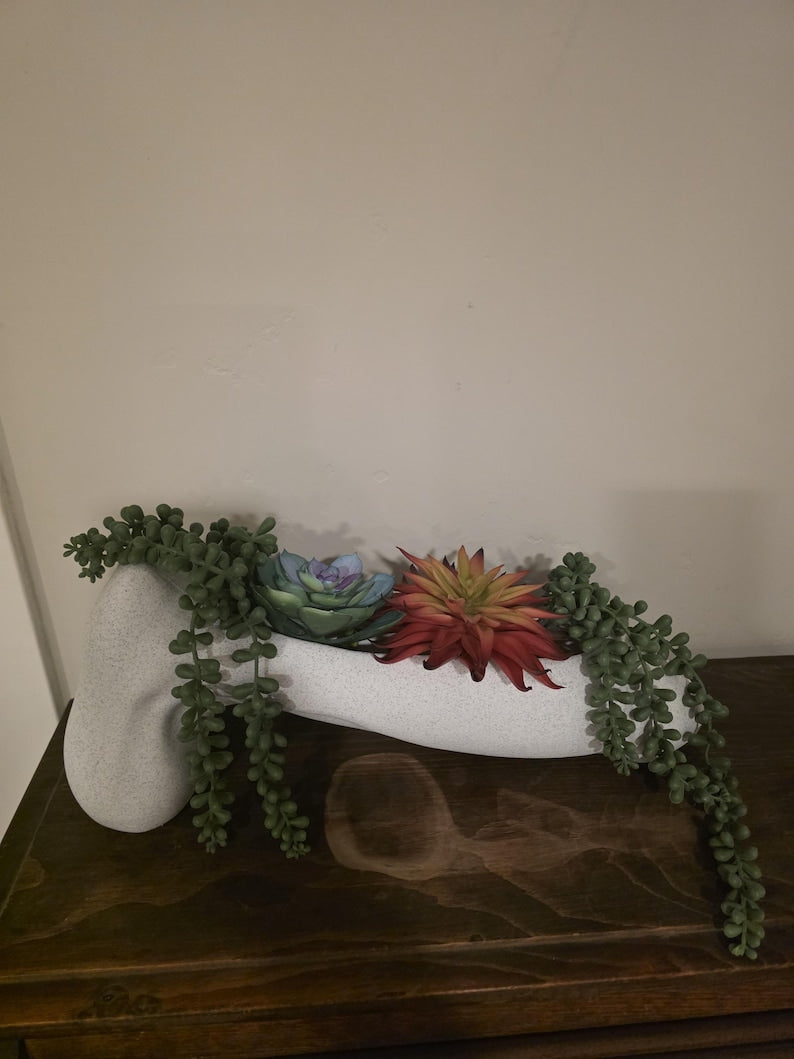 Horizontal phallic planter with artificial plants