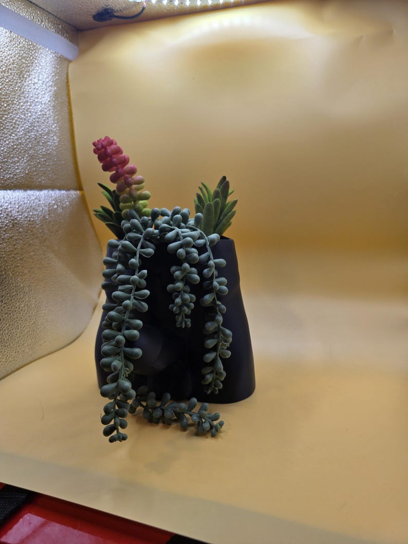 Black Good Morning Wood planter with succulents, rear view