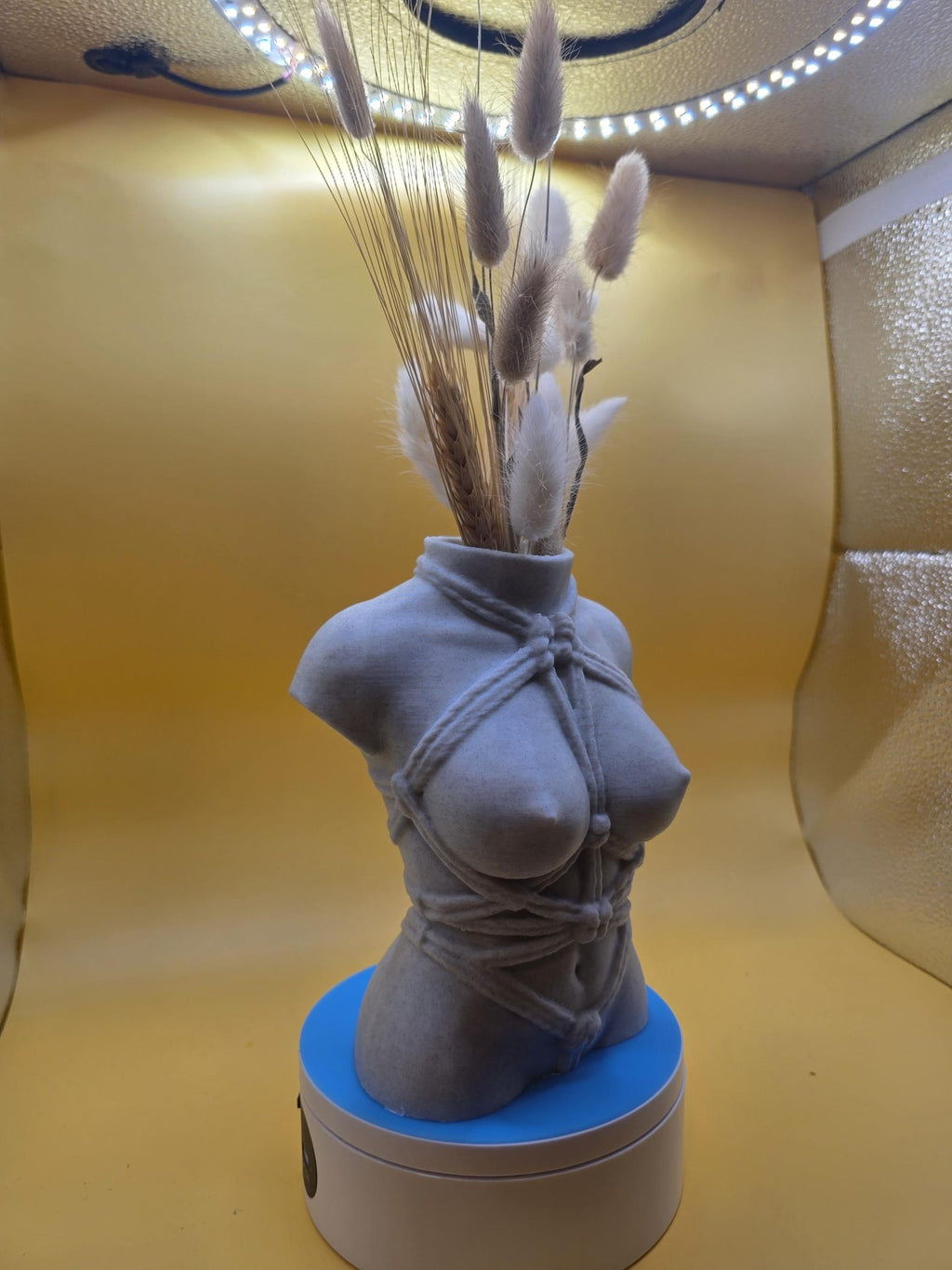 Gray Knotty Girl vase with dried florals on a display turntable