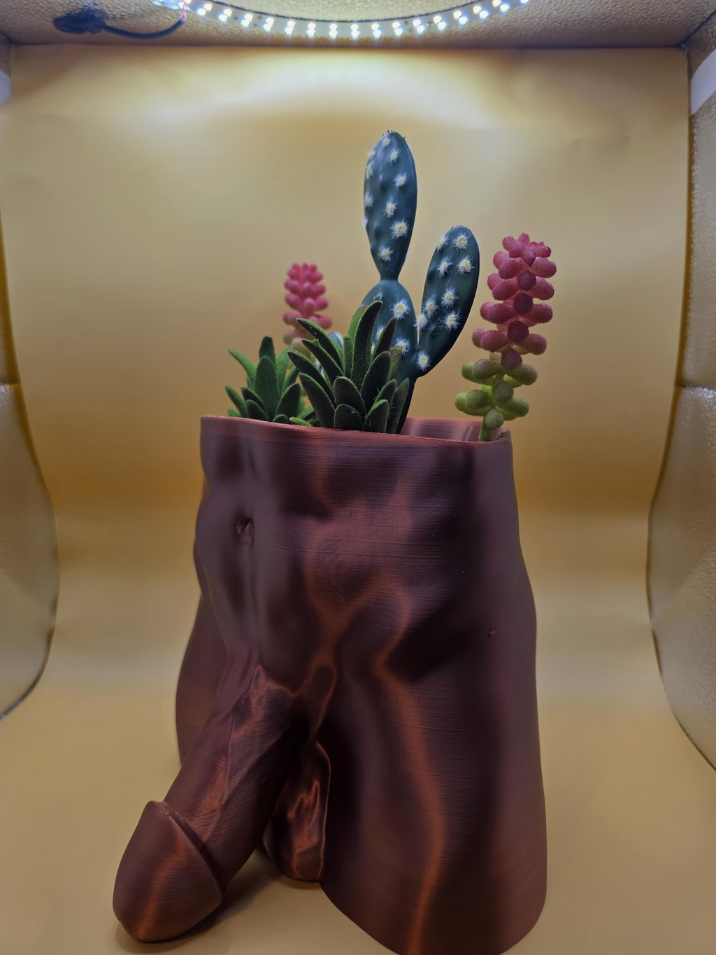 Copper Monster Dong planter angled view with succulents
