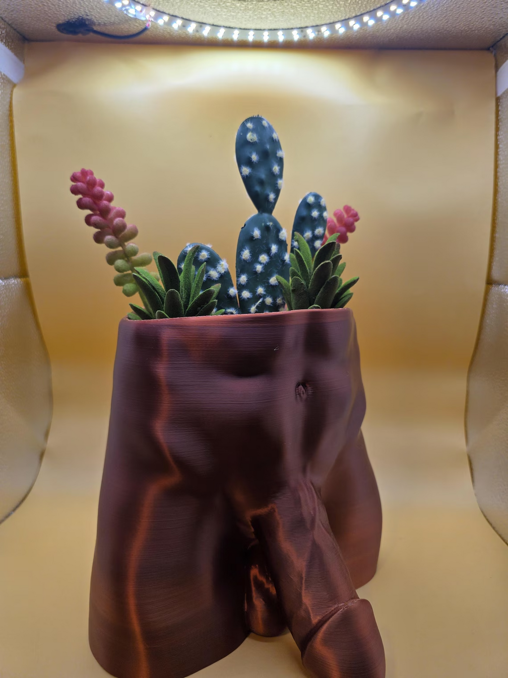 Copper Monster Dong planter front view with succulents