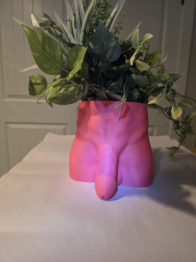 Monster Dong planter in pink with greenery