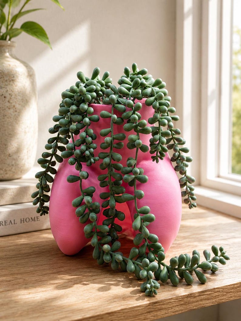 Pink Mrs. Gray planter with trailing string-of-pearls plant by a window