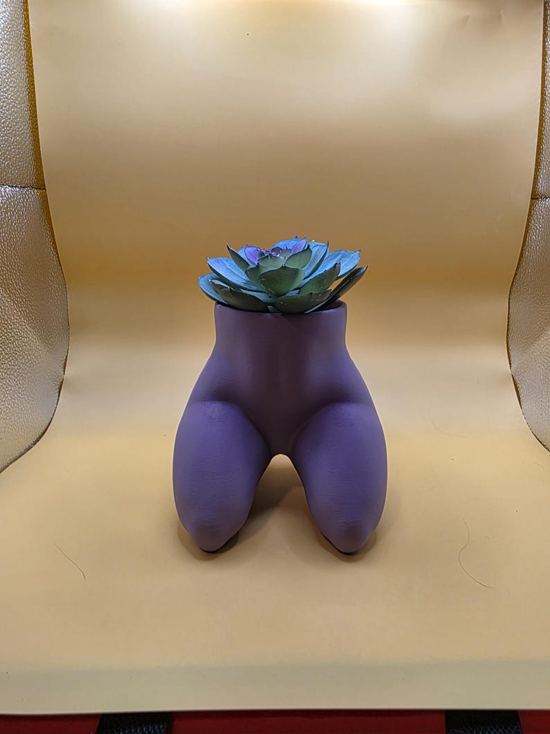 Purple Mrs. Gray planter with a succulent, front view
