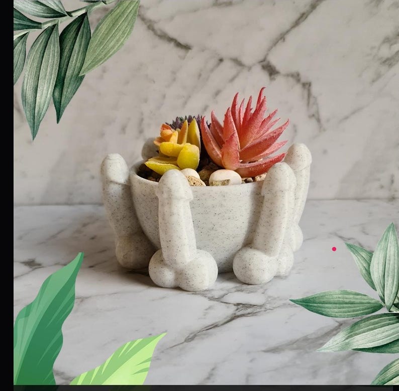 Penis bowl planter in marble finish with succulents