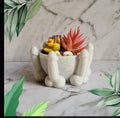 Penis bowl planter in marble finish with succulents