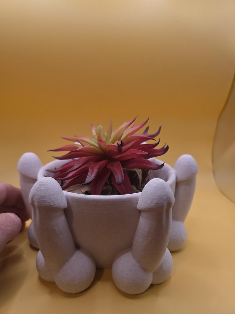 White penis bowl planter with faux succulent