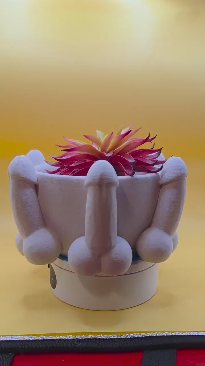 Penis Bowl Planter – Drains Through Bottom – product video