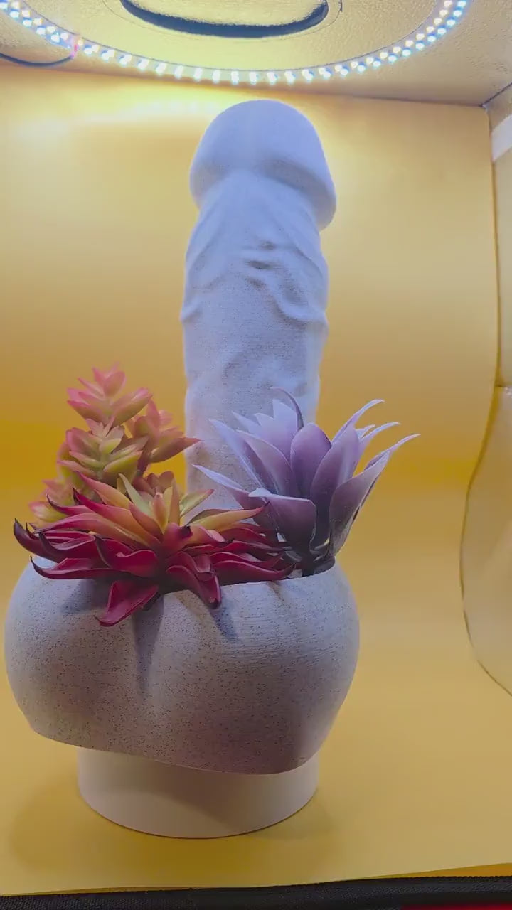 Big Girtha Penis Planter & Candy Bowl – product video