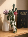 White Uncircumcised Monster Dong planter with succulents, cactus and string of pearls beside a book