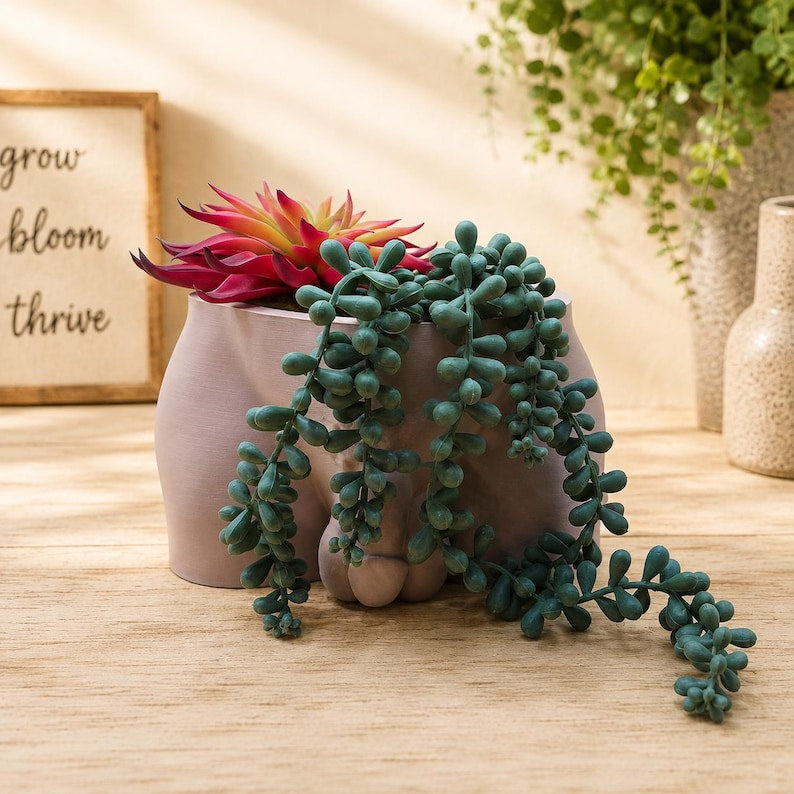 Taupe Unimpressed penis planter with red succulent and string of pearls