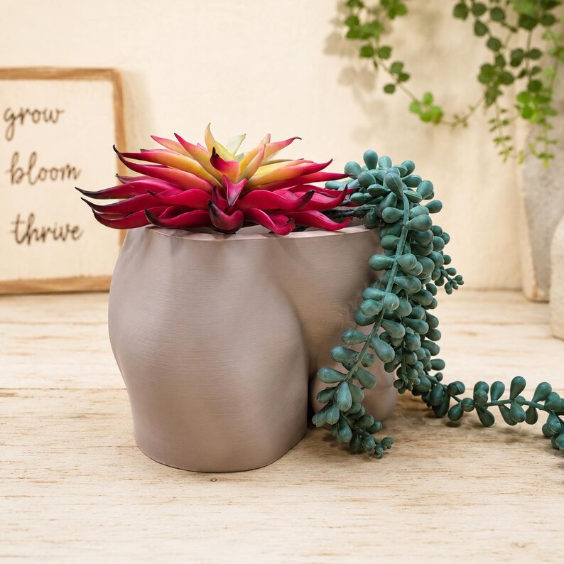 Unimpressed planter with red succulent and trailing plant, front view