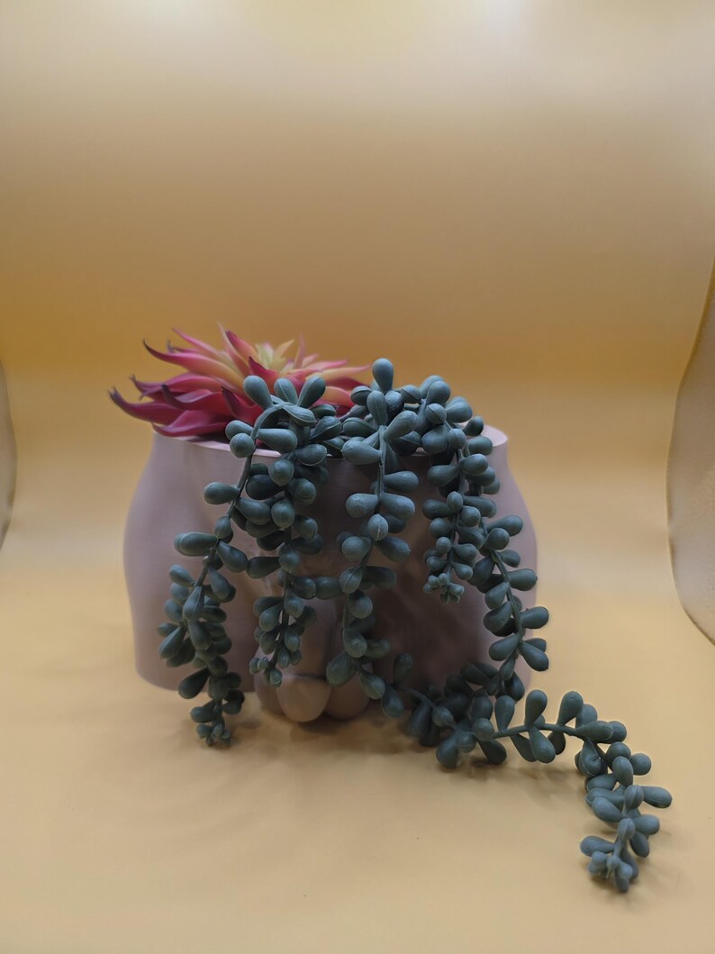 Unimpressed planter with string-of-pearls plant cascading over the front